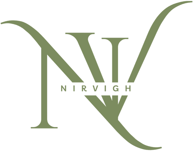 Nirvigh logo